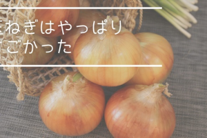 IMG_1423.jpeg